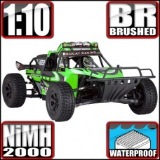 SANDSTORM 1/10 SCALE BRUSHED BAJA BUGGY - Green